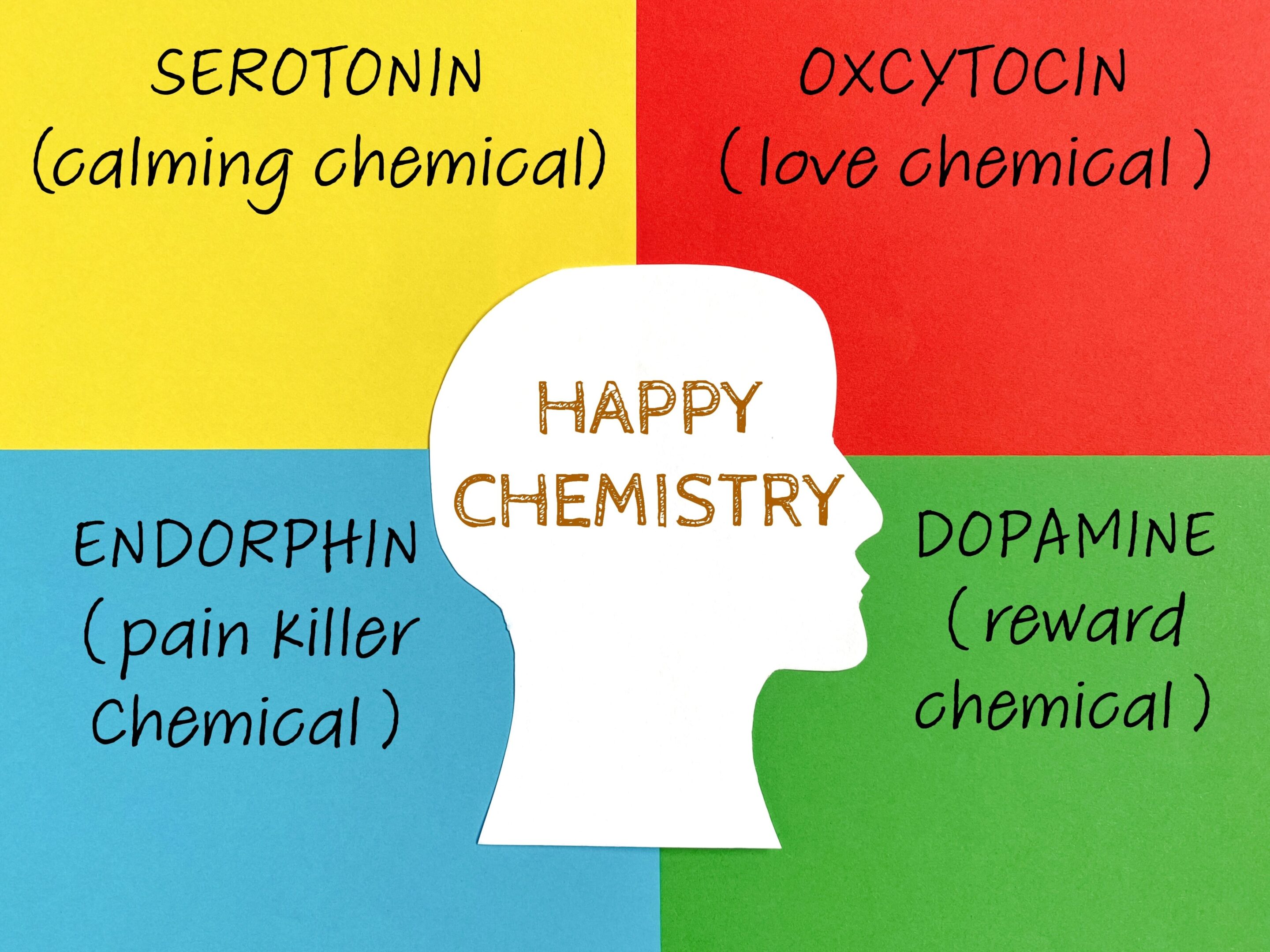 Illustration showing brain chemicals linked to happiness and love.