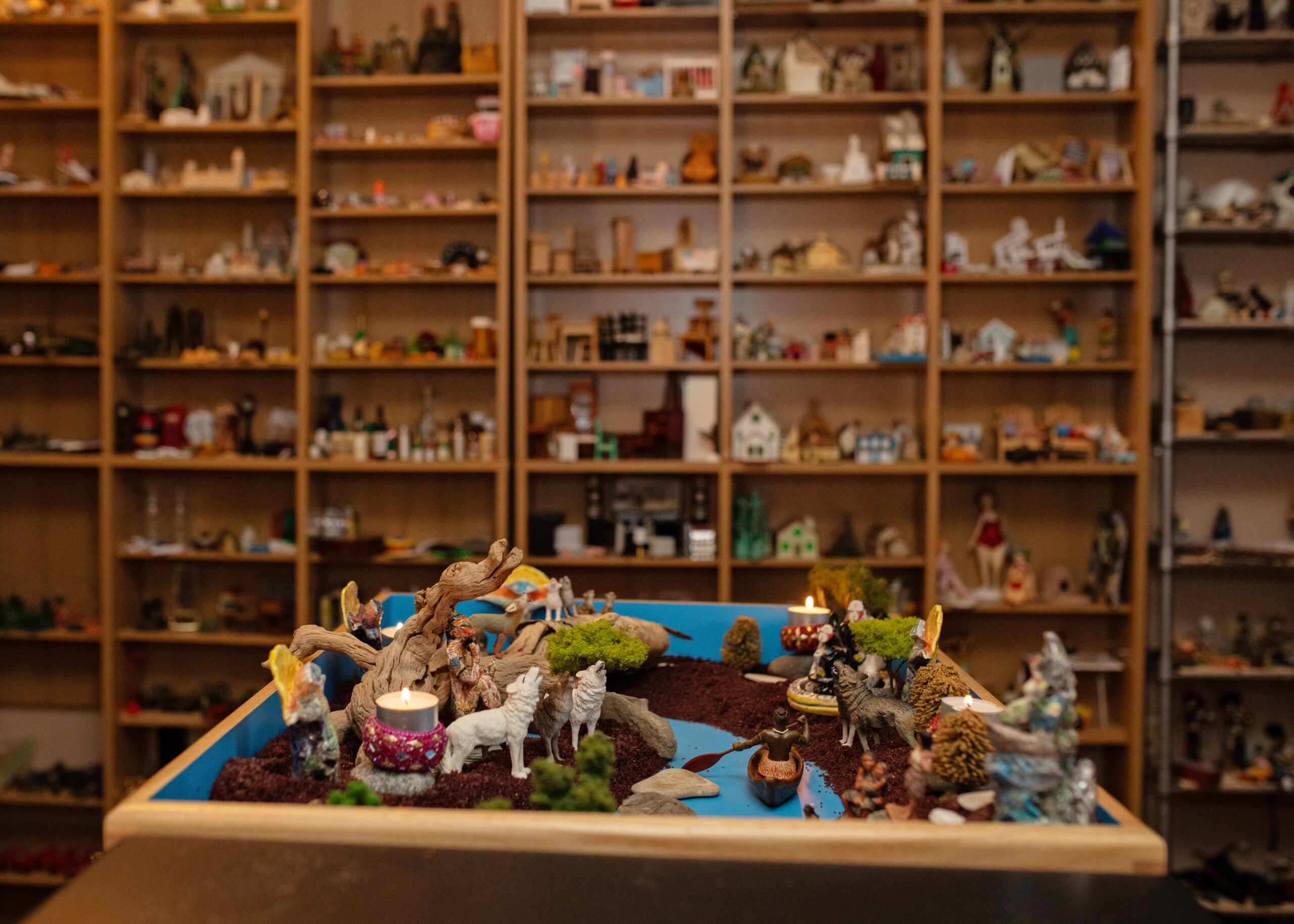 tray in front of shelving